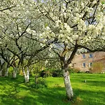 Apartament Pod Stromcem *