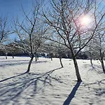 Pod Stromcem * Czernica (Jelenia Gora)