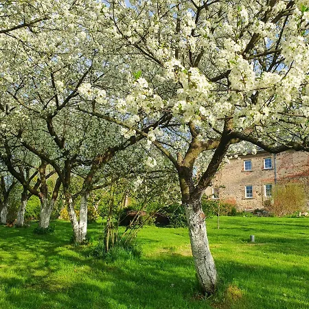 Appartement Pod Stromcem *