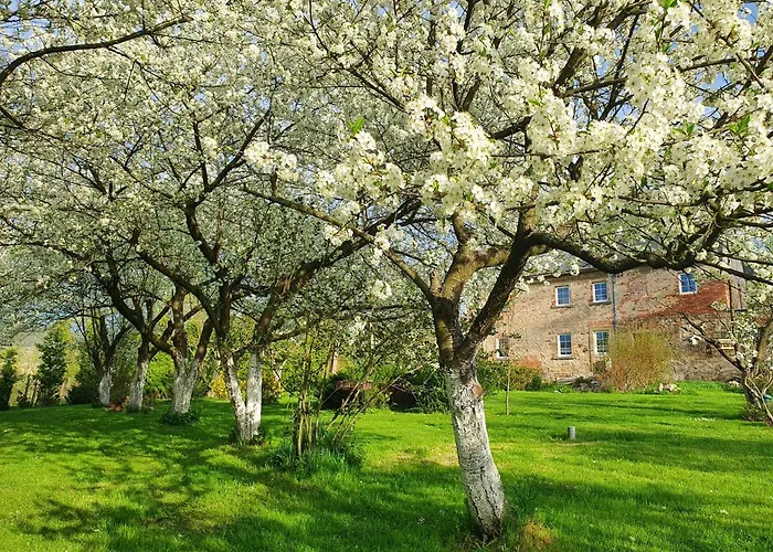 Apartman Pod Stromcem *