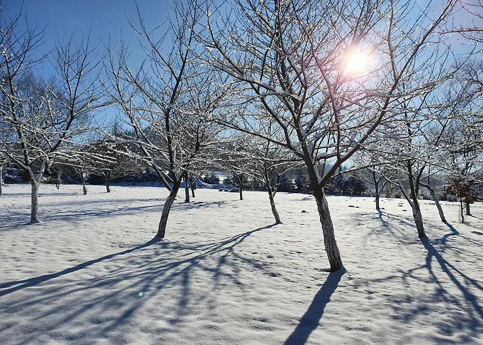 Pod Stromcem * Czernica